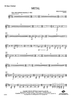 Metal - Bass Clarinet