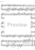 Essays on the forgotten Rhythms Op.28