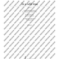 To A Wild Rose
