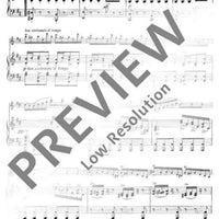 Caprice No. 20 B Minor