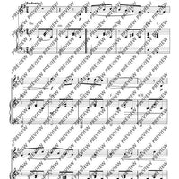 Klezmer Tunes for Clarinet