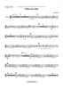 Whitewater Run - Bb Trumpet 2