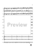Islero - Score
