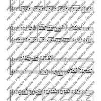 Duo concertant C major - Performing Score