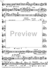 Música per a un estiu (Music for a Sommer) - Flute
