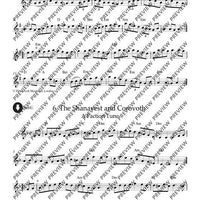 Irish Folk Tunes for Descant Recorder