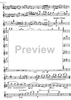 Jarní Hudba - Violin 1