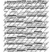 100 Technical Paraphrases on Kreutzer-Etudes