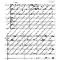 Concerto grosso E minor - Full Score