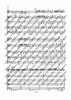 Concertino classico D major - Score