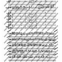 Concerto E Major - Score