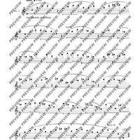 The Flute Expedition