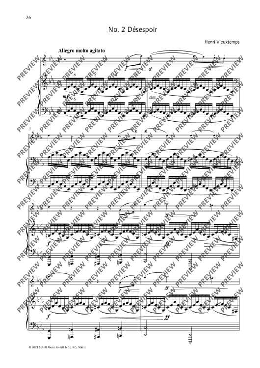 Désespoir in C minor