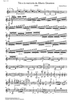 Trio a la memnoriade Alberto Ginastera - Violin