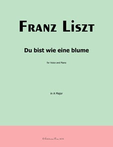Du bist wie eine blume