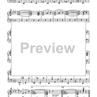 The Stars And Stripes Forever