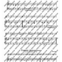 In the Rhythm of the Baroque