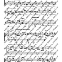 Cadenzas - Performing Score