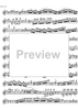 Concerto No. 1 G Major KV313 - Flute