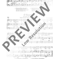 Unsere Weihnachtslieder