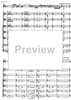 Contrabbasso concertante - Score