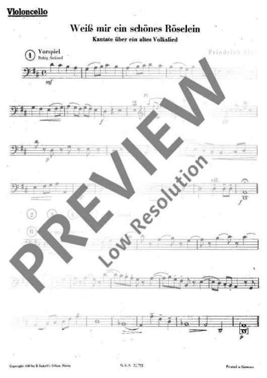 Weiß mir ein schönes Röselein - Cello