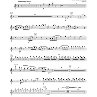 Warrior Legacy - Flute 1