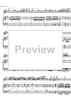Concerto No. 1 G Major KV313 - Score