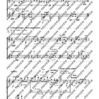 Cadenzas - Performing Score