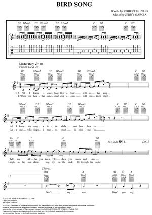Bird Song