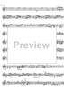 Concerto No. 3 Eb Major KV447 - Horn