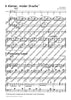 Geigenfrosch & Co: Klavierbegleitung 1 - Text