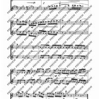 Nine flute duets - Performing Score