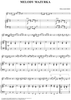 Melody Mazurka - Piano Accompaniment
