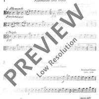 Instrumental-Playbook - Viola