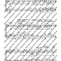 Cadenzas - Performing Score