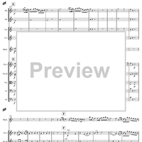 Concerto for Mandolin and Orchestra in F major - Score