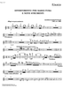 Divertimento - Flute/Piccolo