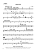 Carnaval - Opt. Percussion