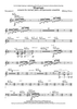 Shaman - Percussion 4