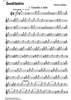 Quodlibetrio - Flute
