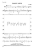 Dragon Slayer - Double Bass