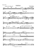 Andaluza - Bb Cornet