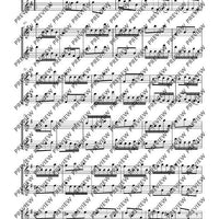 Flute Duets - Performing Score