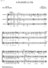 A planzin li vis - Score