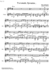 Ti ai amade, gjovanine - Score