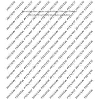 Expression through Sound