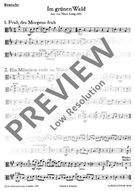 Im grünen Wald - Viola