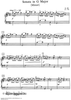 Sonata in G Major (Minuet) [K. 391; L. 79]