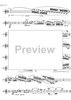 The Accomplished Clarinettist Vol. 3 - Clarinet
